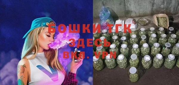 винт Туринск