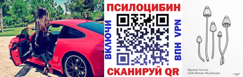 kraken зеркало  Могоча  Псилоцибиновые грибы мицелий 